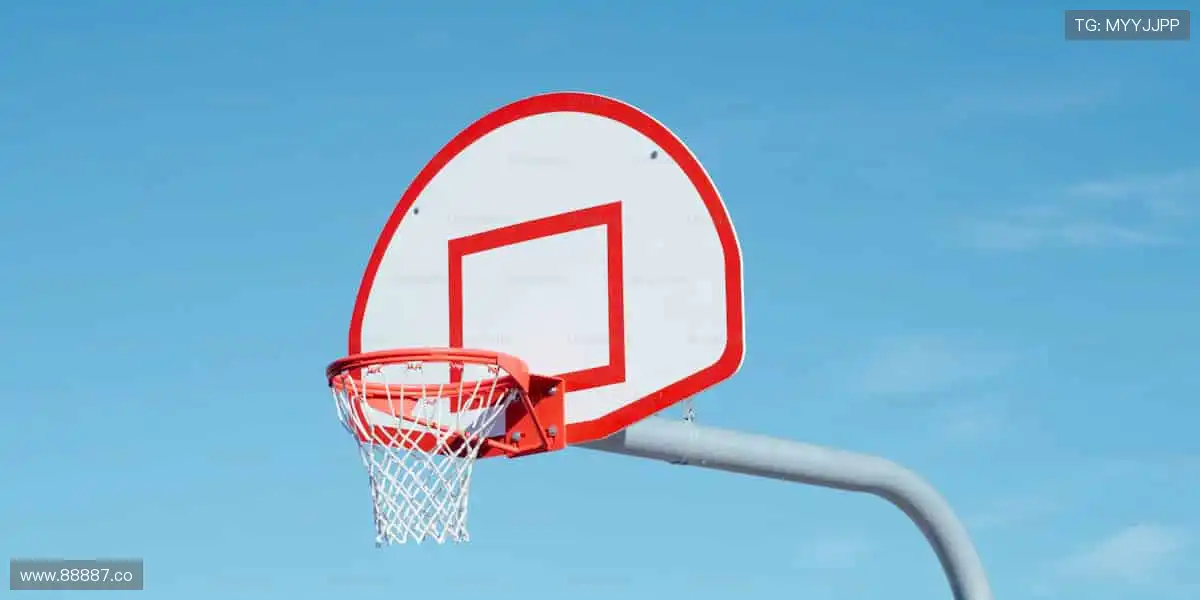 🎯精准数据,深度解析赛事背后的故事!